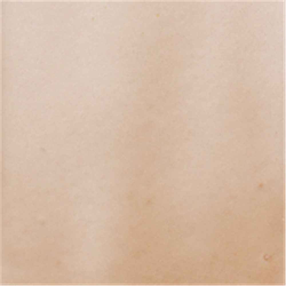 Debitus - Grisailles - Light Brown - N°2 - 100g